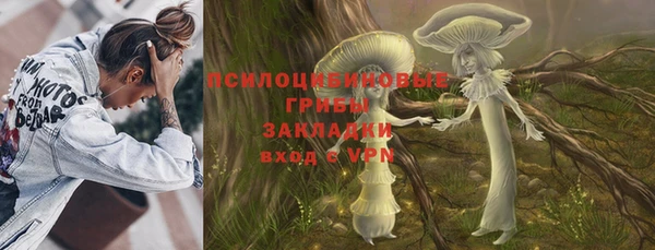 гидра Алексин